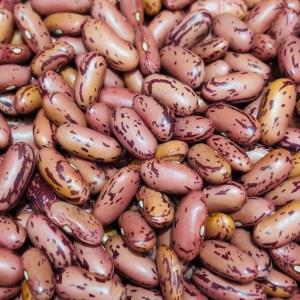 Red Chitra Rajma 600gms