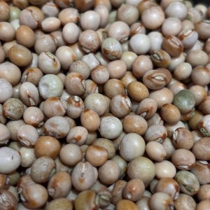 Whole Tur Dal 600gms