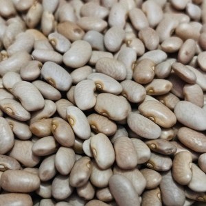 Small White Rajma 600gms